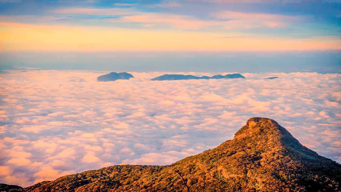 Mountain Trek