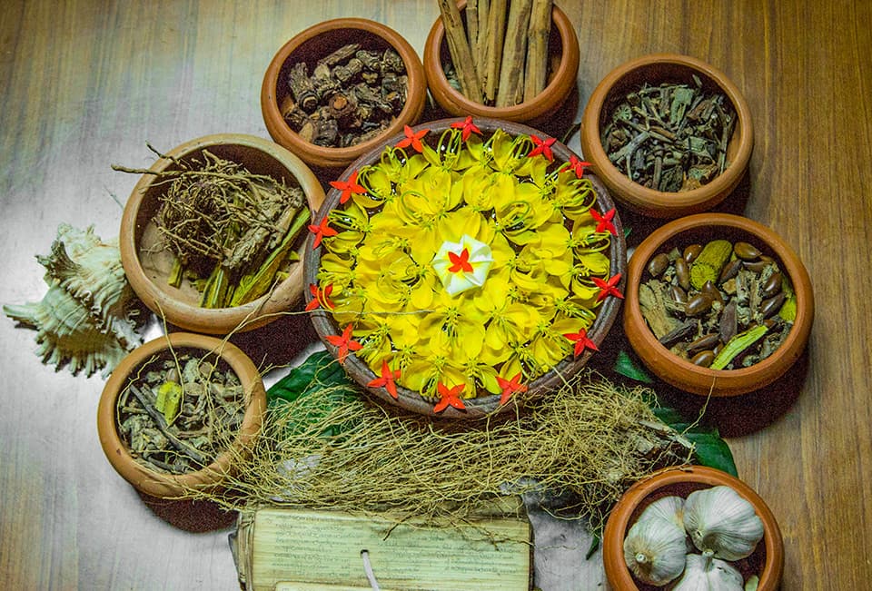 Ayurveda Treatment