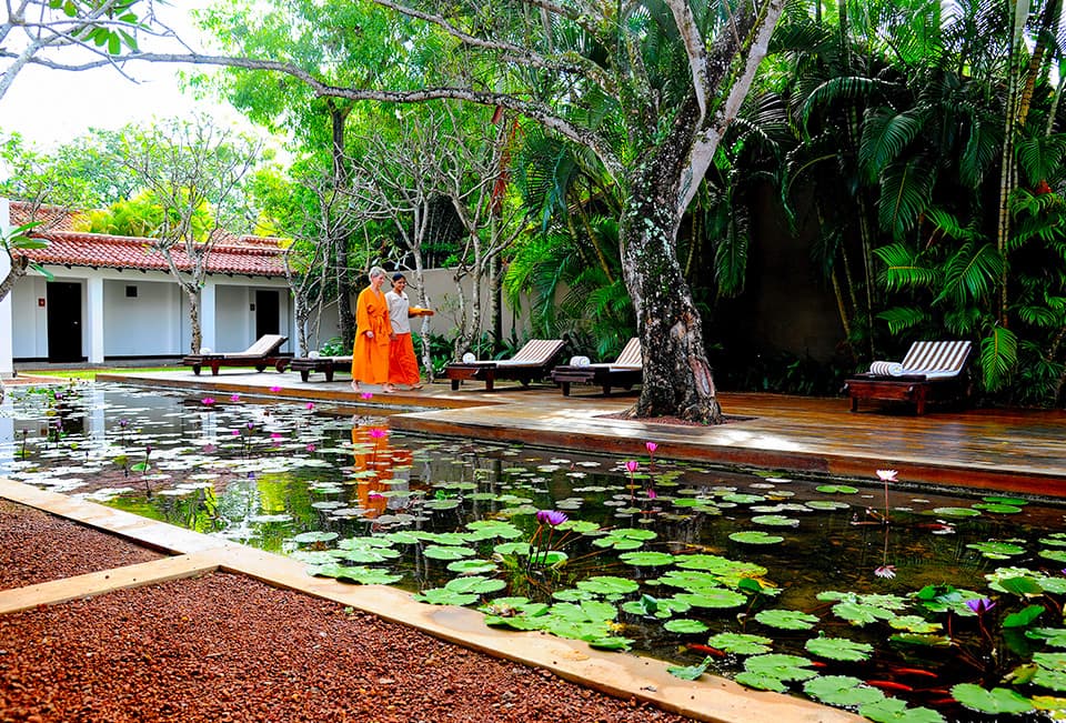 Ayurveda Treatment