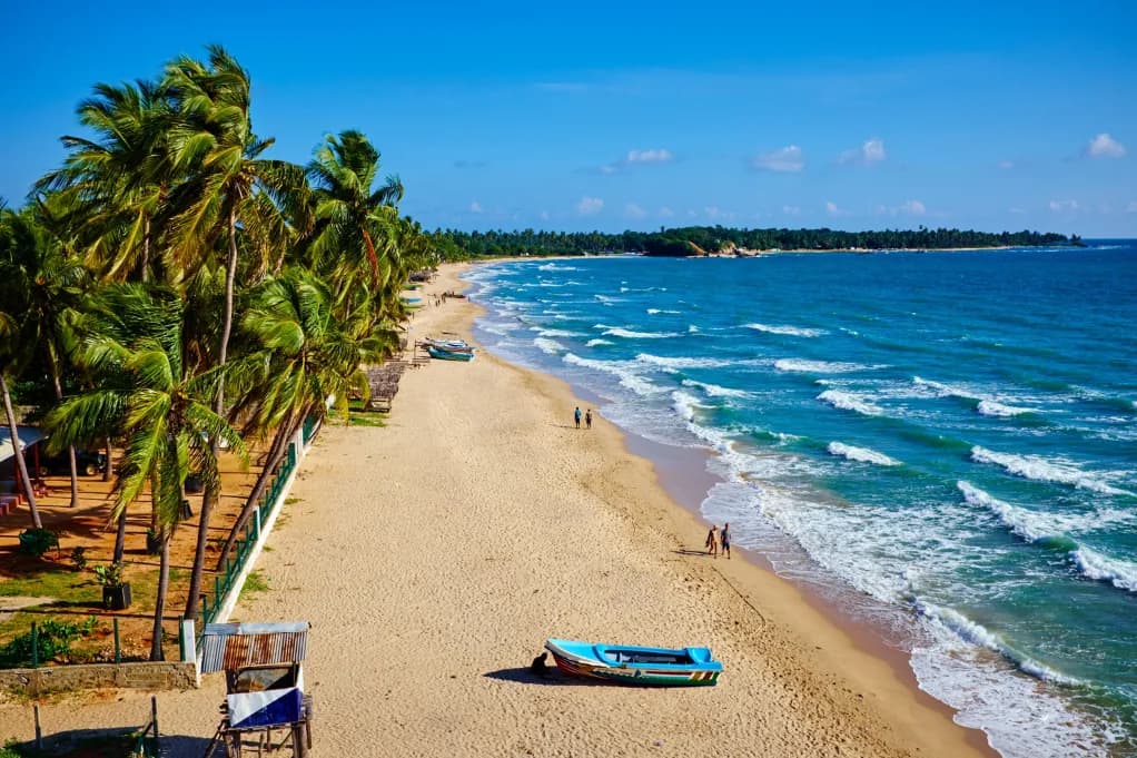 Beach Resort