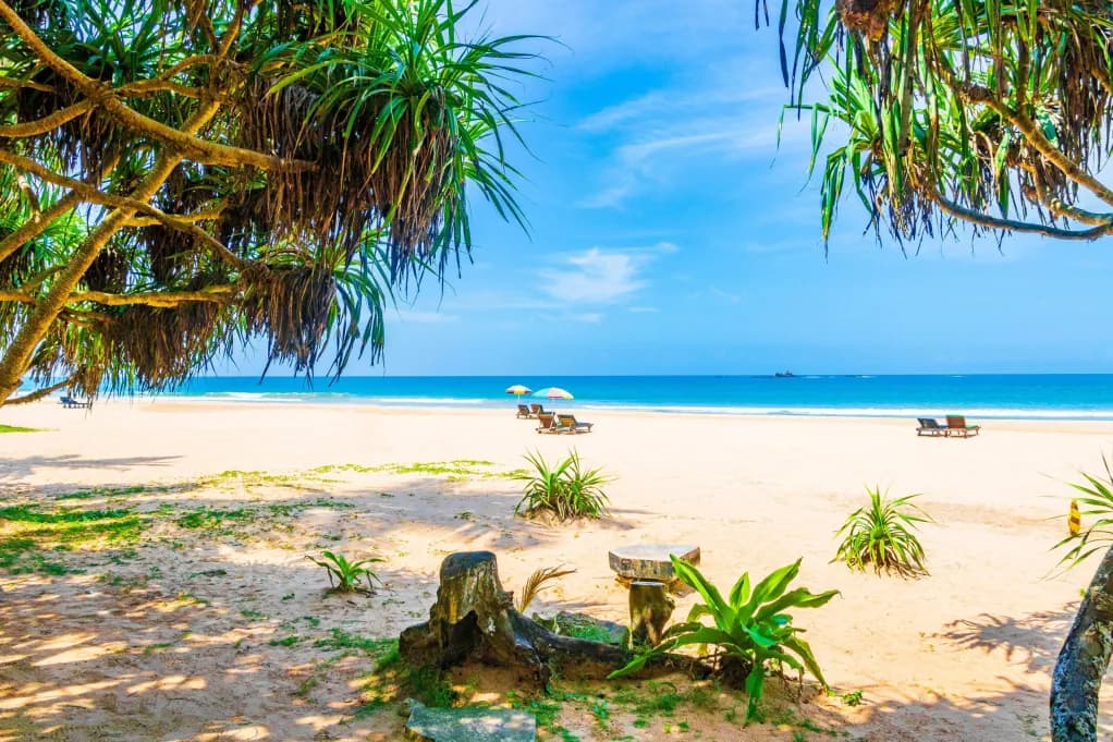 Beach Resort
